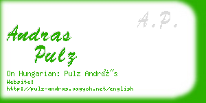 andras pulz business card